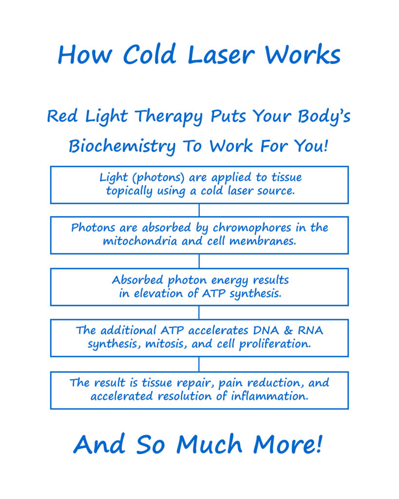 Full Body Laser Diagram